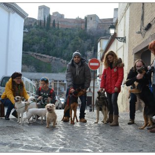 I Visita Guiada por el Albaycín con Mascotas