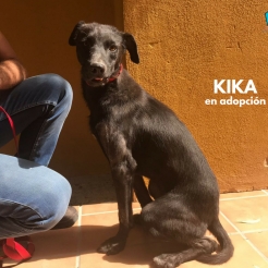 Kika en adopción